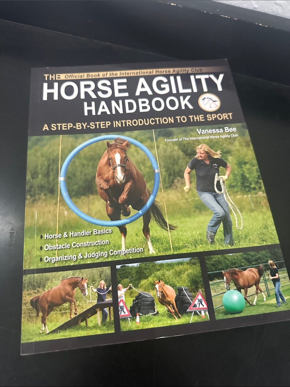 Horse agility hand!